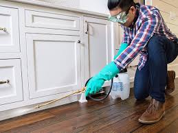 Real Estate Pest Inspections in Treasure Lake, PA